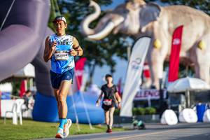 BIB: 
                            <button type="button" onclick="openModal(26541385)" class="btn btn-primary btn-sm float-right btn-popup" data-toggle="modal" data-target=".modal-high-quality">
                        <i class="fas fa-shopping-cart"></i> Add to Cart
                    </button>
                                            <button type="button" onclick="isThisMe(26541385, true)" class="btn btn-success btn-sm float-right btn-popup btn-isme hidden" data-toggle="tooltip" data-placement="bottom" title="นี่คือรูปของคุณใช่ไหม คลิกที่นี่เพื่อเอาเข้าอัลบั้ม">
                        <i class="fas fa-plus"></i> Add to album
                    </button>
                    <button type="button" onclick="isThisMe(26541385, false)" class="btn btn-warning btn-sm float-right btn-popup btn-isnotme hidden">
                        <i class="fas fa-ban"></i> Remove from album
                    </button>